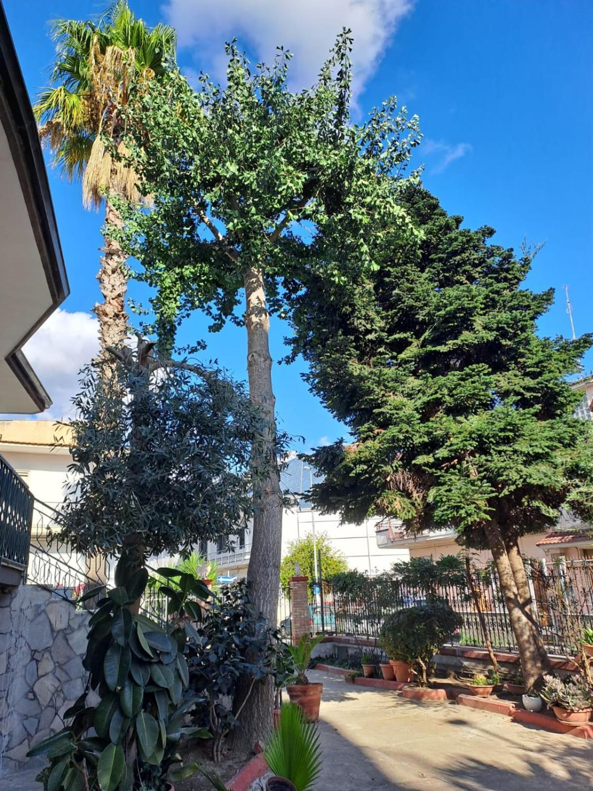 A Casa Di Luigi 2 Apartment Mugnano di Napoli Exterior photo